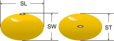 Identification of major QTLs for soybean seed size and seed weight traits using a RIL population in different environments